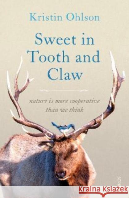 Sweet in Tooth and Claw: nature is more cooperative than we think Kristin Ohlson 9781911617341 Scribe Publications - książka