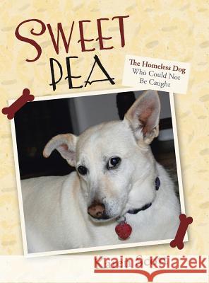 Sweet Pea: The Homeless Dog Who Could Not Be Caught Karen Scott 9781458212931 Abbott Press - książka