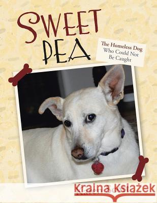 Sweet Pea: The Homeless Dog Who Could Not Be Caught Karen Scott 9781458212948 Abbott Press - książka