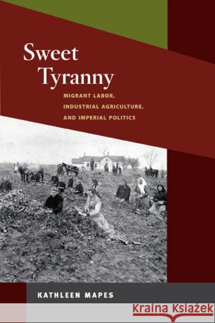 Sweet Tyranny: Migrant Labor, Industrial Agriculture, and Imperial Politics Mapes, Kathleen 9780252034367 University of Illinois Press - książka