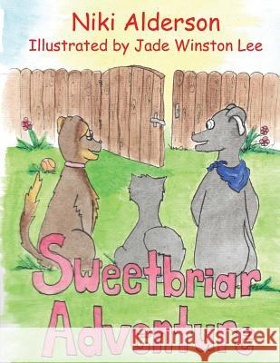 Sweetbriar Adventure Niki Alderson Jade Winston Lee Tara McCleod 9781535568487 Createspace Independent Publishing Platform - książka