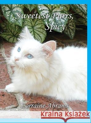 Sweetest Purrs, Spicy Lorraine Abrams 9781628801361 Ideas Into Books Westview - książka