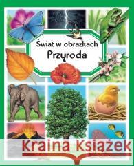 Świat w obrazkach. Przyroda Emilie Beaumont 9788382626100 Olesiejuk Sp. z o.o. - książka
