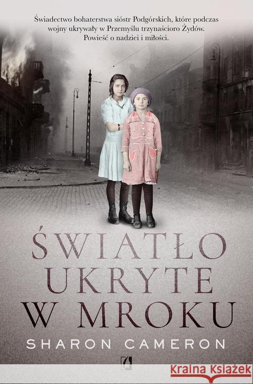 Światło ukryte w mroku Cameron Sharon 9788366436985 Wydawnictwo Kobiece - książka