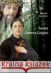 Święta Gemma Galgani Marcello Stanzione 9788378647959 AA - książka