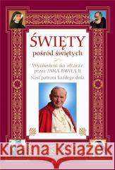 Święty pośród świętych Hubert Wołącewicz 9788381445689 Jedność - książka