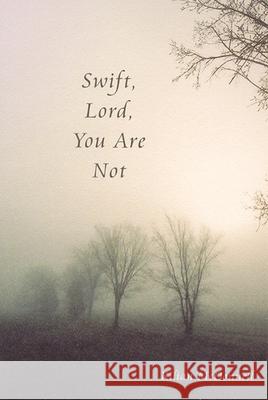 Swift, Lord, You Are Not Kilian McDonnell 9780974099200 Saint John's University Press - książka