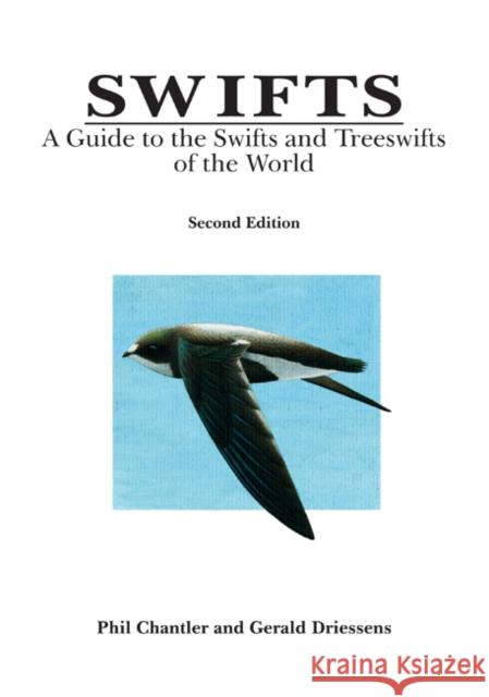 Swifts: A Guide to the Swifts and Treeswifts of the World Phil Chantler, Gerald Driessens 9781873403839 Bloomsbury Publishing PLC - książka