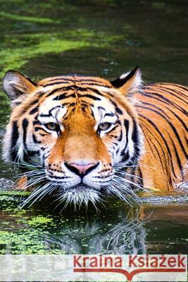 Swimming Tiger: As the Largest Species in the Big Cat Family, Tigers Have More Surface Area That Heats Up, Which Is Probably Why They Planners and Journals 9781796602142 Independently Published - książka
