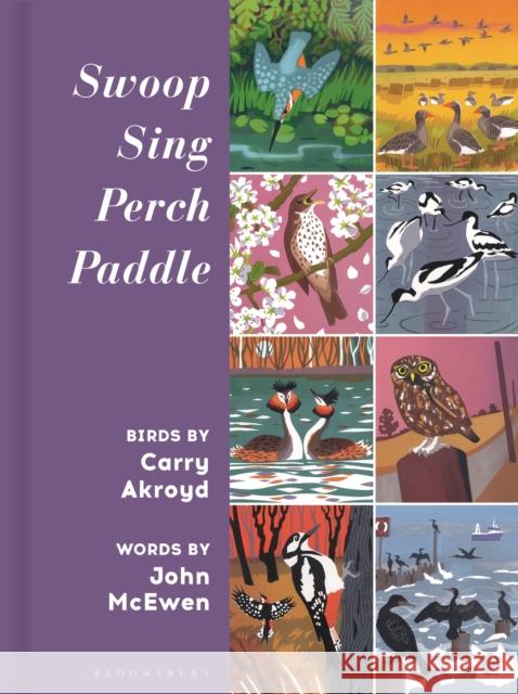 Swoop Sing Perch Paddle: Birds by Carry Akroyd John McEwen 9781399418027 Bloomsbury USA - książka