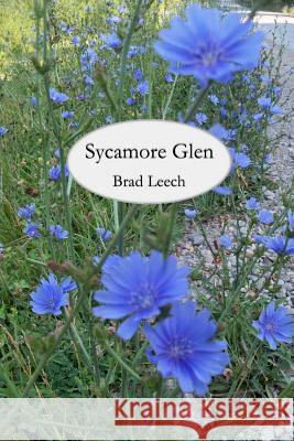 Sycamore Glen Brad Leech 9780998749716 Brad Leech - książka