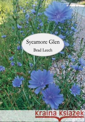 Sycamore Glen Brad Leech 9780998749723 Brad G. Leech - książka