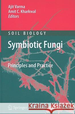 Symbiotic Fungi: Principles and Practice Varma, Ajit 9783540958932 Springer - książka