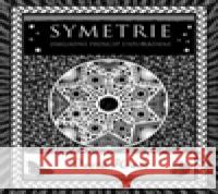 Symetrie David Wade 9788073634100 Dokořán - książka