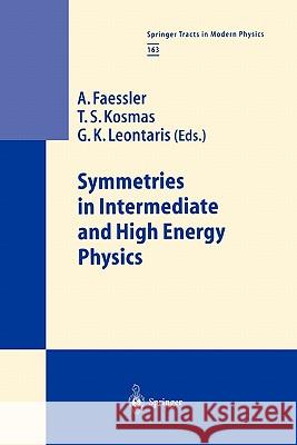 Symmetries in Intermediate and High Energy Physics A. Faessler T. S. Kosmas G. K. Leontaris 9783642085994 Springer - książka