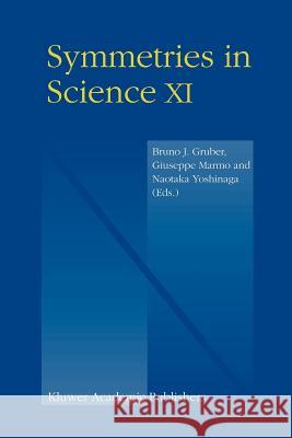 Symmetries in Science XI Bruno Gruber Giuseppe Marmo Naotaka Yoshinaga 9789048166923 Not Avail - książka