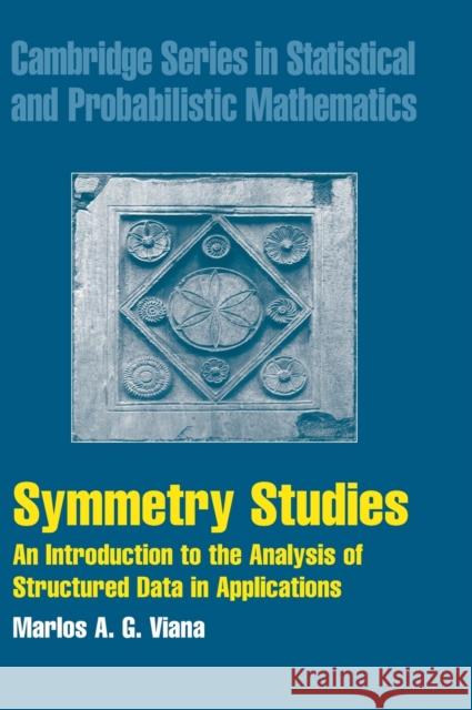 Symmetry Studies Viana, Marlos A. G. 9780521841030 CAMBRIDGE UNIVERSITY PRESS - książka