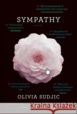 Sympathy Olivia Sudjic 9781328916204 Mariner Books - książka