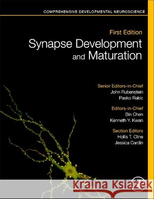 Synapse Development and Maturation: Comprehensive Developmental Neuroscience Pasko Rakic John Rubenstein Bin Chen 9780128236727 Academic Press - książka