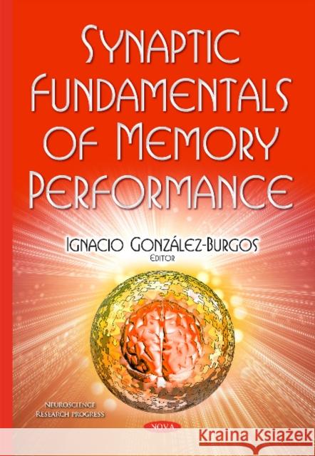 Synaptic Fundamentals of Memory Performance Dr Ignacio González-Burgos 9781634832793 Nova Science Publishers Inc - książka