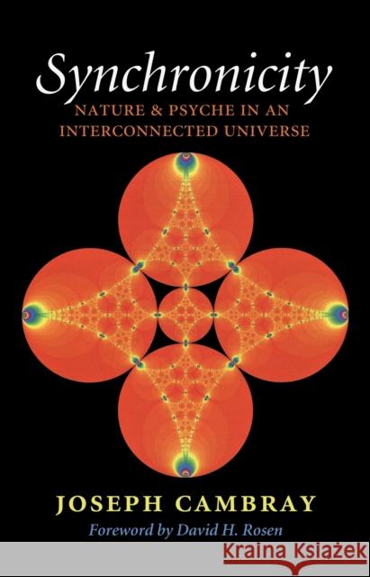 Synchronicity: Nature and Psyche in an Interconnected Universe Volume 15 Cambray, Joseph 9781603443005 Texas A & M University Press - książka