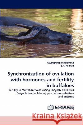 Synchronization of ovulation with hormones and fertility in buffaloes Ravikumar, Kaliannan 9783843355643 LAP Lambert Academic Publishing AG & Co KG - książka