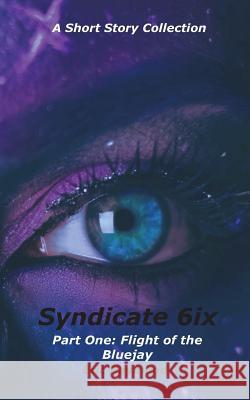 Syndicate 6ix: Flight of the Bluejay Eric Raymond Ariel Cox Allison Adams 9781732355323 Eric Raymond - książka