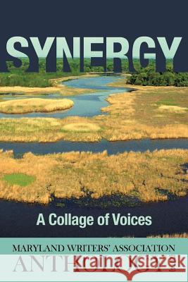 Synergy: A Collage of Voices Anthology 2014 Maryland Writers Association 9781627200899 Apprentice House - książka