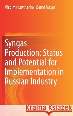 Syngas Production: Status and Potential for Implementation in Russian Industry Vladimir Litvinenko Bernd Meyer 9783319709628 Springer - książka