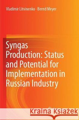 Syngas Production: Status and Potential for Implementation in Russian Industry Vladimir Litvinenko Bernd Meyer 9783319890227 Springer - książka