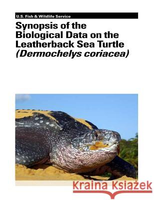 Synopsis of the Biological Data on the Leatherback Sea Turtle (Dermochelys Coriacea) Karen L. Eckert Bryan P. Wallace John G. Frazier 9781479135295 Createspace - książka