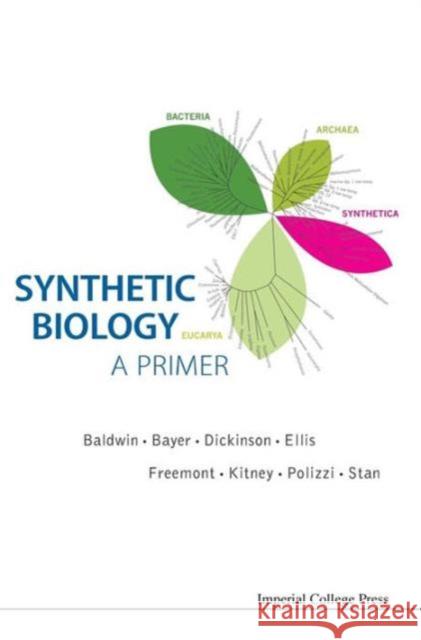 Synthetic Biology: A Primer Freemont, Paul Simon 9781848168626 World Scientific Publishing Company - książka