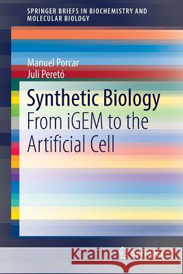 Synthetic Biology: From Igem to the Artificial Cell Porcar, Manuel 9789401793810 Springer - książka