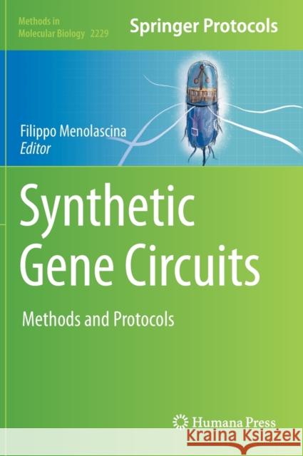 Synthetic Gene Circuits: Methods and Protocols Menolascina, Filippo 9781071610312 Humana - książka