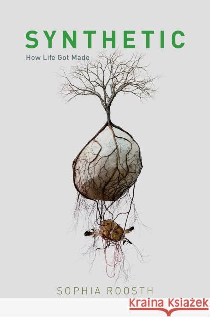 Synthetic: How Life Got Made Roosth, Sophia 9780226440460 University of Chicago Press - książka