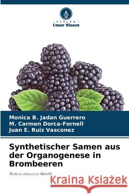 Synthetischer Samen aus der Organogenese in Brombeeren Jadan Guerrero, Monica B., Dorca-Fornell, M. Carmen, Ruiz Vasconez, Juan E. 9786208958565 Verlag Unser Wissen - książka