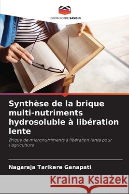 Synthèse de la brique multi-nutriments hydrosoluble à libération lente Ganapati, Nagaraja Tarikere 9786208696764 Editions Notre Savoir - książka