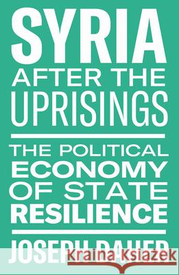 Syria After the Uprisings: The Political Economy of State Resilience  9781608469246 Haymarket Books - książka