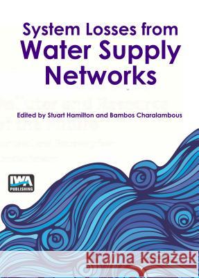 System Losses from Water Supply Networks Stuart Hamilton Bambos Charalambous 9781780409191 IWA Publishing (Intl Water Assoc) - książka