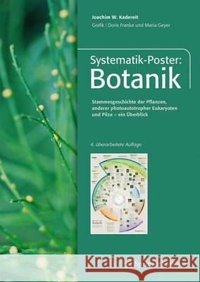 Systematik-Poster: Botanik : Stammesgeschichte der Pflanzen, anderer photoautothroper Eukrayoten und Pilze - ein Überblick Joachim W. Kadereit Doris Franke Maria Geyer 9783662491805 Springer Spektrum - książka