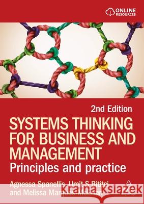 Systems Thinking for Business and Management - Principles and Practice  9781398626485  - książka