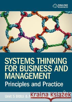 Systems Thinking for Business and Management: Principles and Practice Umit S. Bititci Agnessa Spanellis 9781398611689 Kogan Page - książka