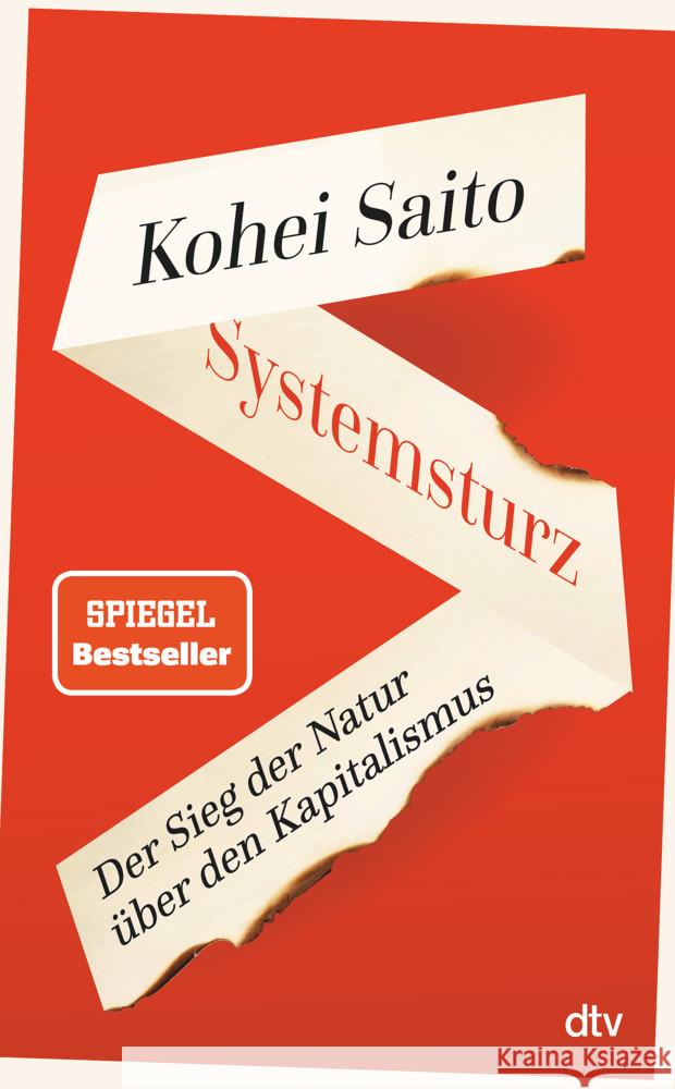 Systemsturz Saito, Kohei 9783423283694 DTV - książka