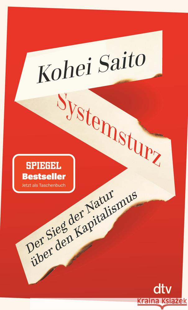 Systemsturz Saito, Kohei 9783423352420 DTV - książka