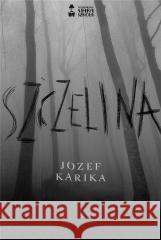 Szczelina KARIKA JÓZEF 9788366013971 STARA SZKOŁA - książka