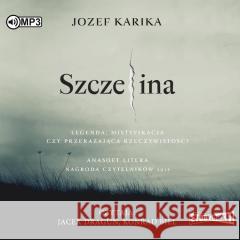 Szczelina audiobook Jozef Karika 9788382339383 Storybox - książka