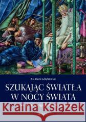 Szukając światła w nocy świata Ks. Jacek Grzybowski 9788381441711 Jedność - książka