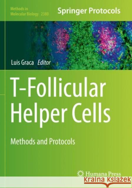 T-Follicular Helper Cells: Methods and Protocols Luis Graca 9781071617380 Humana - książka