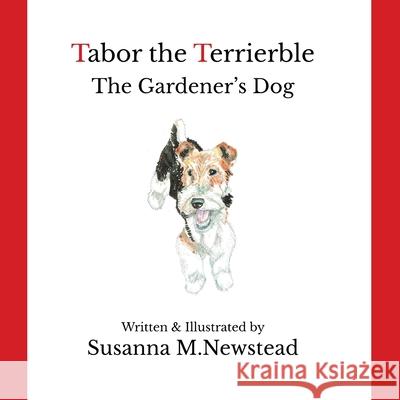 Tabor the Terrierble Susanna M. Newstead 9781909237056 Heresy Publishing - książka