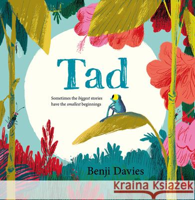 Tad Benji Davies   9780008212827 HarperCollins Publishers - książka